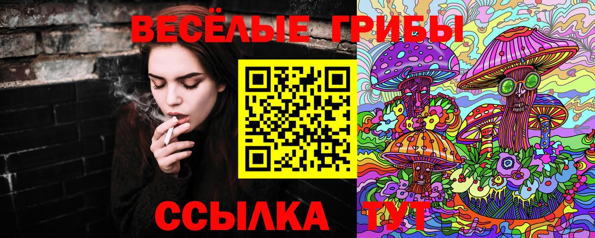 Галлюциногенные грибы мухоморы Медногорск