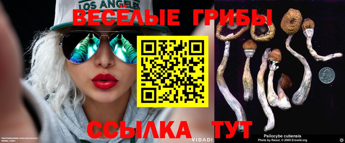 Галлюциногенные грибы MAGIC MUSHROOMS  Галлюциногенные грибы Cubensis  Медногорск  Вход с VPN 